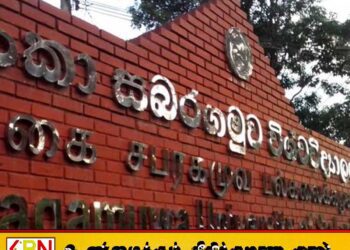 சப்ரகமுவ பல்கலைக்கழகத்தின் நிர்வாகம், நிதி முறைகேடுகள் தொடர்பில் ஆராய விசாரணைக்குழு நியமனம்