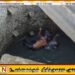 வவுனியாவில் உயர்தர மாணவி சடலமாக மீட்பு