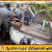குளியாப்பிட்டியில் பாடசாலை வேன் – லொறி மோதி விபத்து; வேன் சாரதி, இரு சிறுவர்கள் உயிரிழப்பு