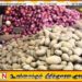 பெரிய வெங்காயம் மற்றும் உருளைக்கிழங்கு மீதான விசேட பண்ட வரி அதிகரிப்பு