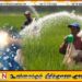 விவசாயிகளுக்கான உரமானியத்திற்கு டிஜிட்டல் விநியோக முறைக்கு அமைச்சரவை அனுமதி