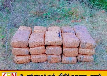 யாழ்ப்பாணத்தில் 23 மில்லியன் மதிப்புடைய கேரள கஞ்சா மீட்பு