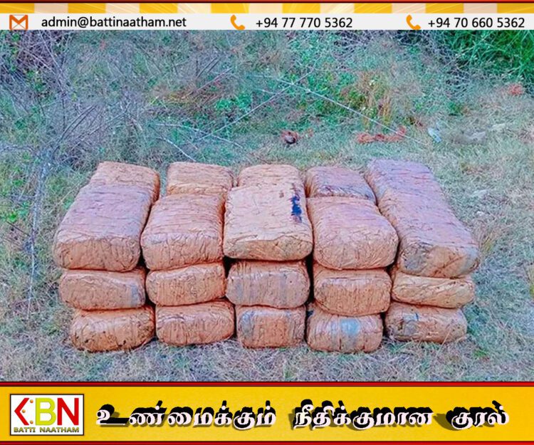 யாழ்ப்பாணத்தில் 23 மில்லியன் மதிப்புடைய கேரள கஞ்சா மீட்பு