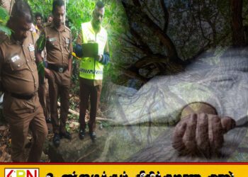 மரக்கிளை முறிந்து விழுந்ததில் பெண் ஒருவர் உயிரிழப்பு
