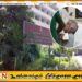 முன்னாள் ஜனாதிபதி ரணிலுக்கு நீர்ச்சத்து குறைபாடு; கொழும்பு தேசிய மருத்துவமனை