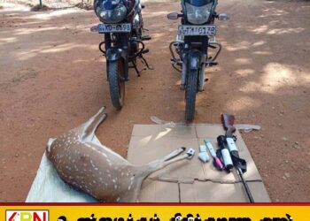 கர்ப்பிணி மானை வேட்டையாடிய ஐந்து சந்தேக நபர்கள் கைது