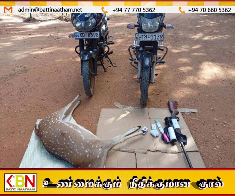 கர்ப்பிணி மானை வேட்டையாடிய ஐந்து சந்தேக நபர்கள் கைது