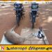 கர்ப்பிணி மானை வேட்டையாடிய ஐந்து சந்தேக நபர்கள் கைது