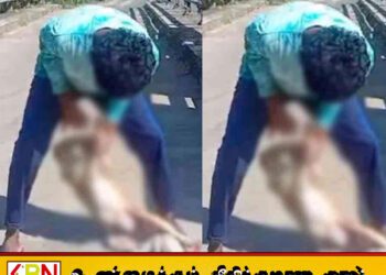 வளர்ப்பு நாயை கொடூரமாக தாக்கி ஆற்றில் வீசிய இளைஞன்