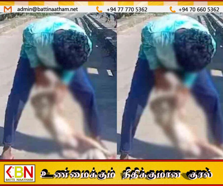 வளர்ப்பு நாயை கொடூரமாக தாக்கி ஆற்றில் வீசிய இளைஞன்