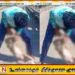 வளர்ப்பு நாயை கொடூரமாக தாக்கி ஆற்றில் வீசிய இளைஞன்