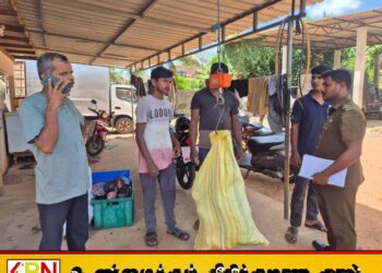 மனித நுகர்விற்கு பொருத்தமற்ற 151 கிலோ மாட்டு இறைச்சி கைப்பற்றப்பட்டு அழிப்பு