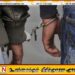 8 கிலோ 220 கிராம் குஷ் போதைப்பொருளுடன் இரண்டு இந்தியர்கள் கைது