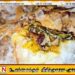 சிக்கன் பப்ஸில் இறந்த நிலையில் கிடந்த பாம்பு