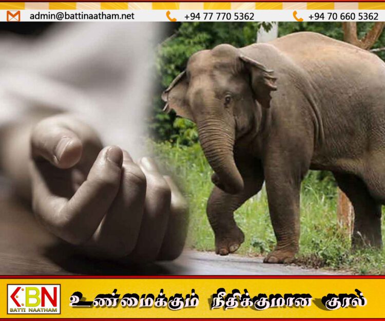 குருணாகலில் தாயும் மகளும் யானை தாக்குதலில் பலி