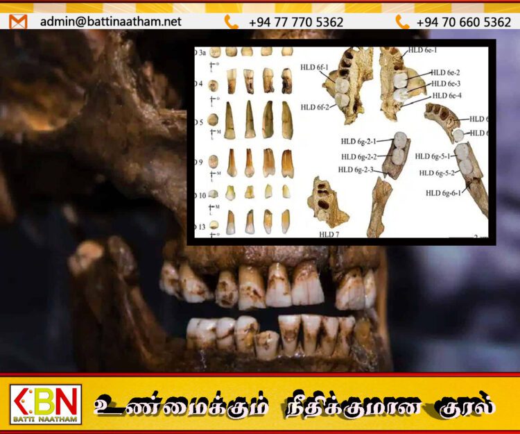 சீனக் குகையில் கண்டெடுக்கப்பட்ட 3 இலட்சம் ஆண்டு பழமையான பற்கள்; புதிய மனித இனம் இருந்ததற்கான சான்றா?