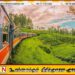 கொழும்பிலிருந்து பதுளை வரையில் புதிய சொகுசு ரயில் சேவை இயக்குவதற்கு ரயில்வே திணைக்களம் தீர்மானம்