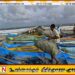 மீனவர்களுக்கான ஓய்வூதியத் திட்டம் அடுத்த மாதம் முதல் ஆரம்பம்