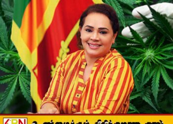 இலங்கையில் கஞ்சா பயிரிடுவதை வரவேற்கும் முன்னாள் இராஜாங்க அமைச்சர் டயானா கமகே