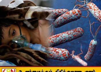 வடமேற்கு நைஜீரியாவில் கொலரா தொற்றினால் 11 பேர் உயிரிழப்பு