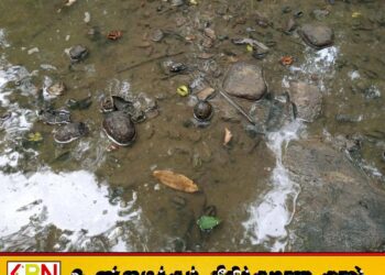 திருக்கோயில் பொலிஸ் பிரிவில் உள்ள ஆற்றில் ஆயுத உதிரிப்பாகங்கள் மற்றும் கைக்குண்டுகள் மீட்பு