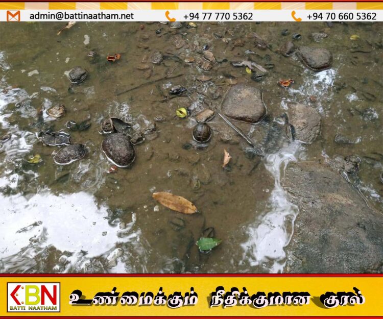திருக்கோயில் பொலிஸ் பிரிவில் உள்ள ஆற்றில் ஆயுத உதிரிப்பாகங்கள் மற்றும் கைக்குண்டுகள் மீட்பு