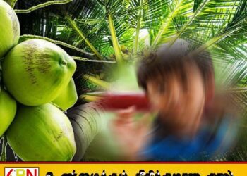 தலையில் தேங்காய் விழுந்ததில் இரண்டு வயது சிறுவன் உயிரிழப்பு