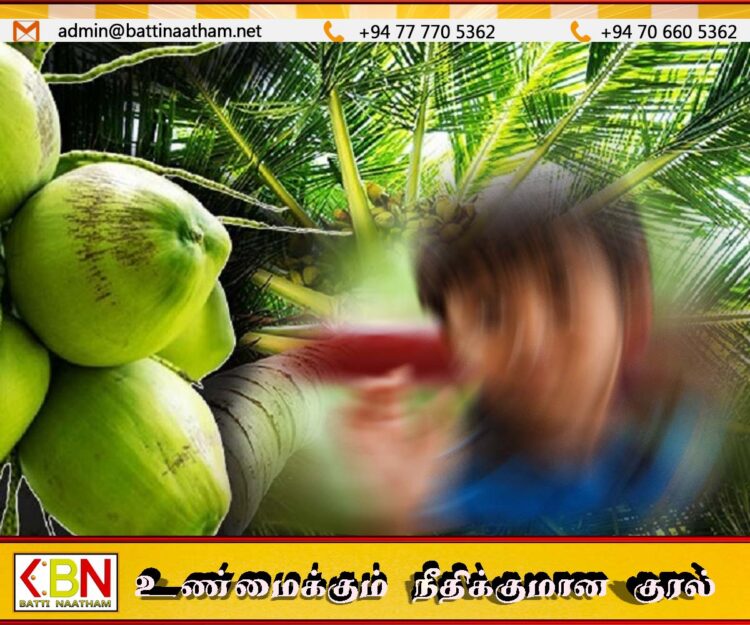 தலையில் தேங்காய் விழுந்ததில் இரண்டு வயது சிறுவன் உயிரிழப்பு
