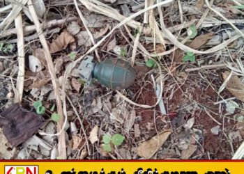 சுன்னாகம் பொலிஸ் பிரிவில் உள்ள தனியார் காணியில் கைக்குண்டு
