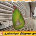 கடையடைப்பு போராட்டம் 18ஆம் திகதிக்கு மாற்றம்