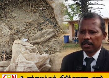 செம்மணி மனிதப் புதைகுழியில் மீட்கப்பட்ட சான்றுப் பொருட்களை காட்சிப்படுத்த நடவடிக்கை