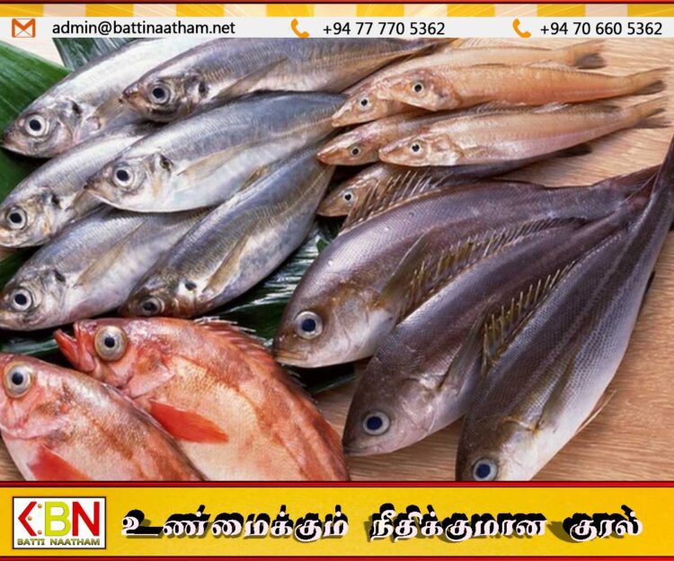 கிண்ணியாவில்பாவனைக்கு உதவாத மீன்கள் கைப்பற்றப்பட்டு அழிப்பு