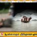 பேருந்து மோதியதில் கிராம உத்தியோகத்தர் உயிரிழப்பு