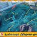 தடைசெய்யப்பட்ட மீன்பிடி வலைகளை பயன்படுத்திய 22 பேர் கைது