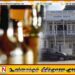 ஹட்டன் நகரில் இனி புதிய மதுபானசாலைகளுக்கு அனுமதிப்பதில்லை; நகரசபை ஏகமனதாக தீர்மானம்