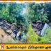 ஆடைத் தொழிற்சாலை ஊழியர்களை ஏற்றிச் சென்ற பேருந்து விபத்து