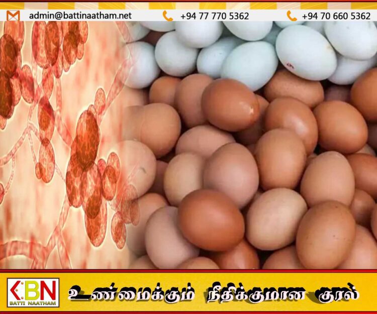 முட்டைகளைக் கழுவிய பின் சேமித்து வைத்தால் கிருமி உள்ளே செல்லும் அபாயம்