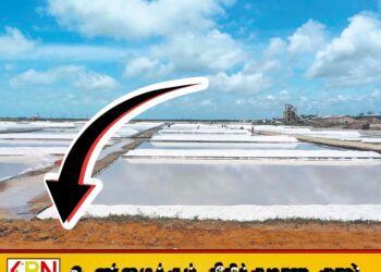 400 கிராம் அயடின் கலந்த உப்பின் விலை 20 ரூபாயால் குறைப்பு