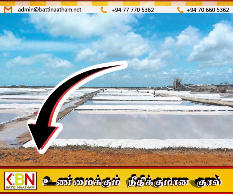 400 கிராம் அயடின் கலந்த உப்பின் விலை 20 ரூபாயால் குறைப்பு