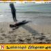 யாழில் இளைஞனின் சடலமொன்று கரையொதுங்கியுள்ளது