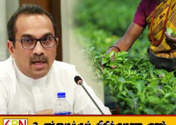 தோட்டத் தொழிலாளர்களின் ஊதியத்தை அதிகரிப்பது அரசுக்கு சவாலாக உள்ளது; பிமல் ரத்நாயக்க