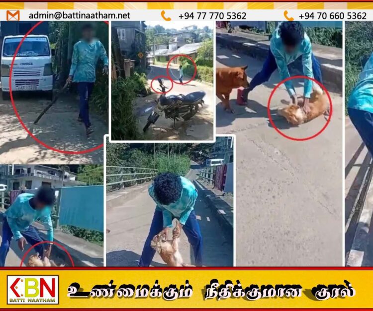 நானுஓயாவில் நாயை சித்திரவதை செய்தவருக்கு விளக்கமறியல்