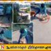 நானுஓயாவில் நாயை சித்திரவதை செய்தவருக்கு விளக்கமறியல்