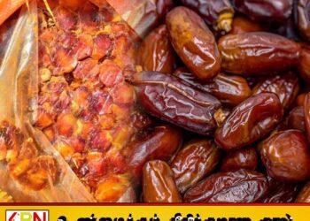 வட்டளையில் 3,620 கிலோ காலாவதியான பேரீச்சம்பழங்கள் மீட்பு