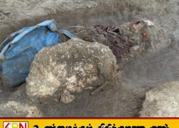 செம்மணியில் சிலர் உயிருடன் புதைக்கப்பட்டிருக்கலாம்; சட்டத்தரணி நிரஞ்சன்