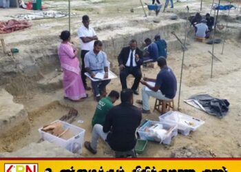 செம்மணியில் மேலும் 3 மனித எலும்புக்கூடுகள் அடையாளம்; இதுவரையில் 169 அடையாளம்