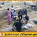 செம்மணியில் மேலும் 3 மனித எலும்புக்கூடுகள் அடையாளம்; இதுவரையில் 169 அடையாளம்