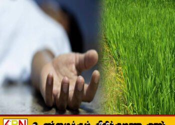 பதுளையில் உள்ள வயல் ஒன்றில் நிர்வாண நிலையில் சடலம் மீட்பு