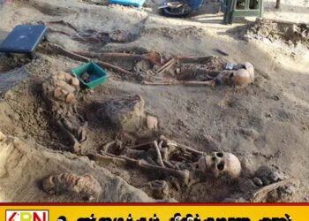 செம்மணியில் இன்று மேலும் 12 எலும்புக்கூடுகள் அடையாளம்