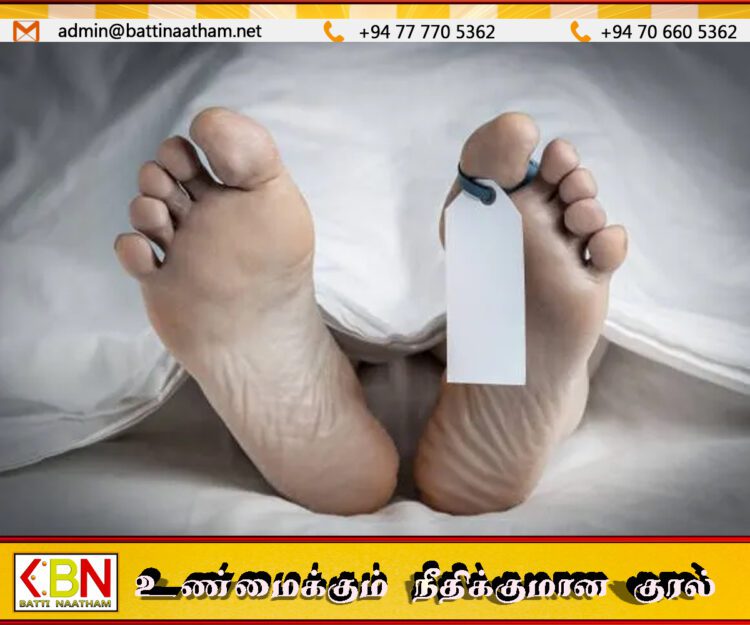 கிம்புல்வா ஓய மற்றும் விக்டோரியா நீர்த்தேக்கத்தில் இரு சடலங்கள் மீட்பு
